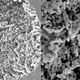 Illustration for article titled Swedish researchers create ‘an impossible material’ by mistake